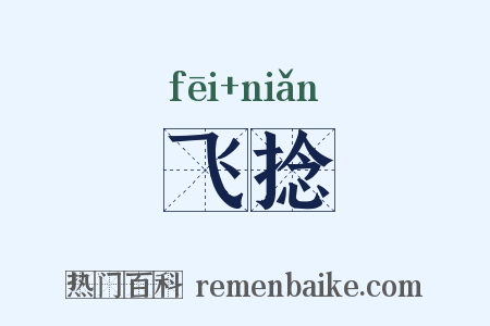 飞捻是什么意思的图片